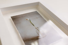 FRAME 12x18" (30x45cm)