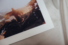 Matted Cotton Prints